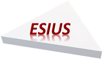 Esius Coaching